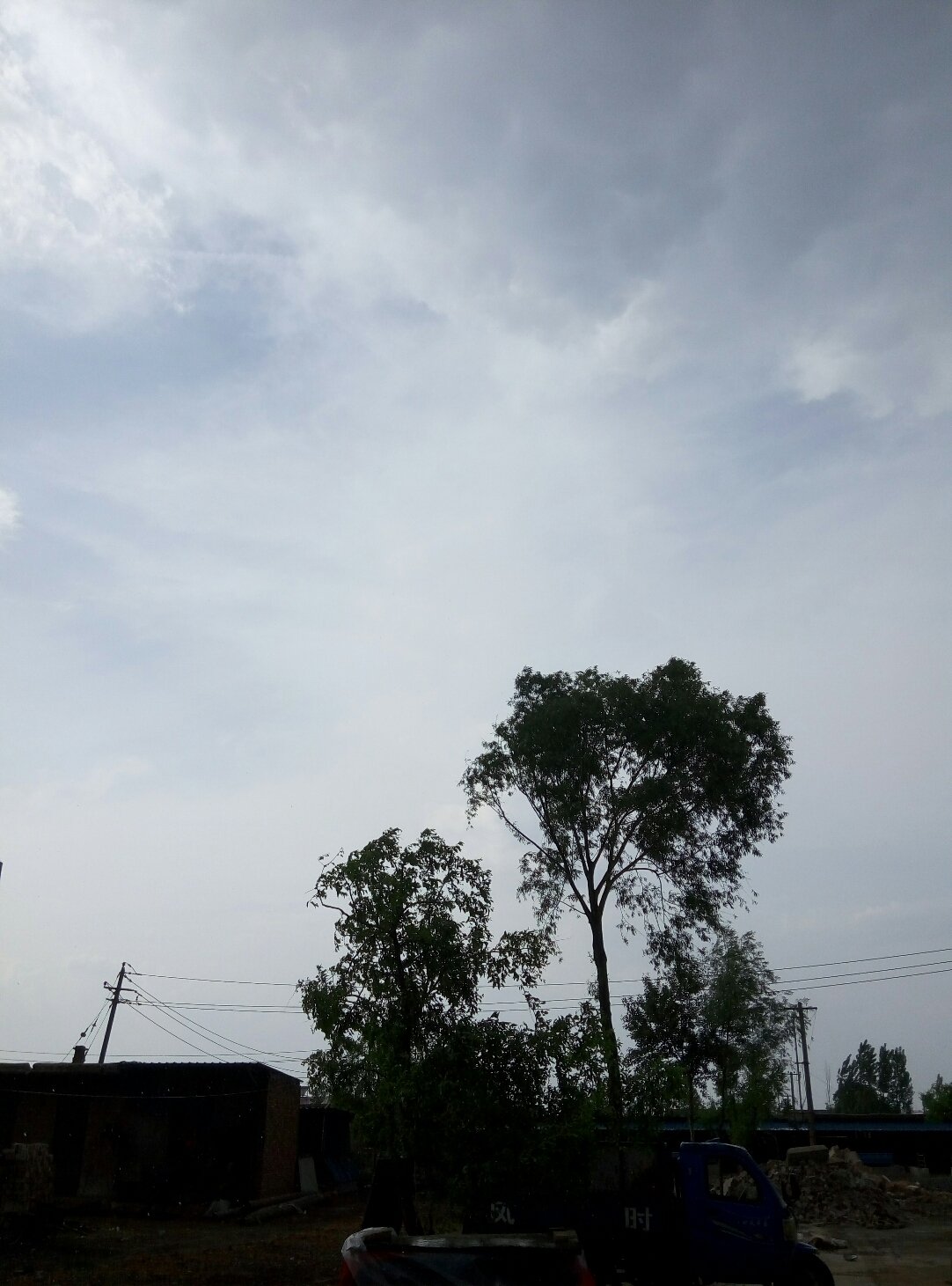 几叶风兼雨