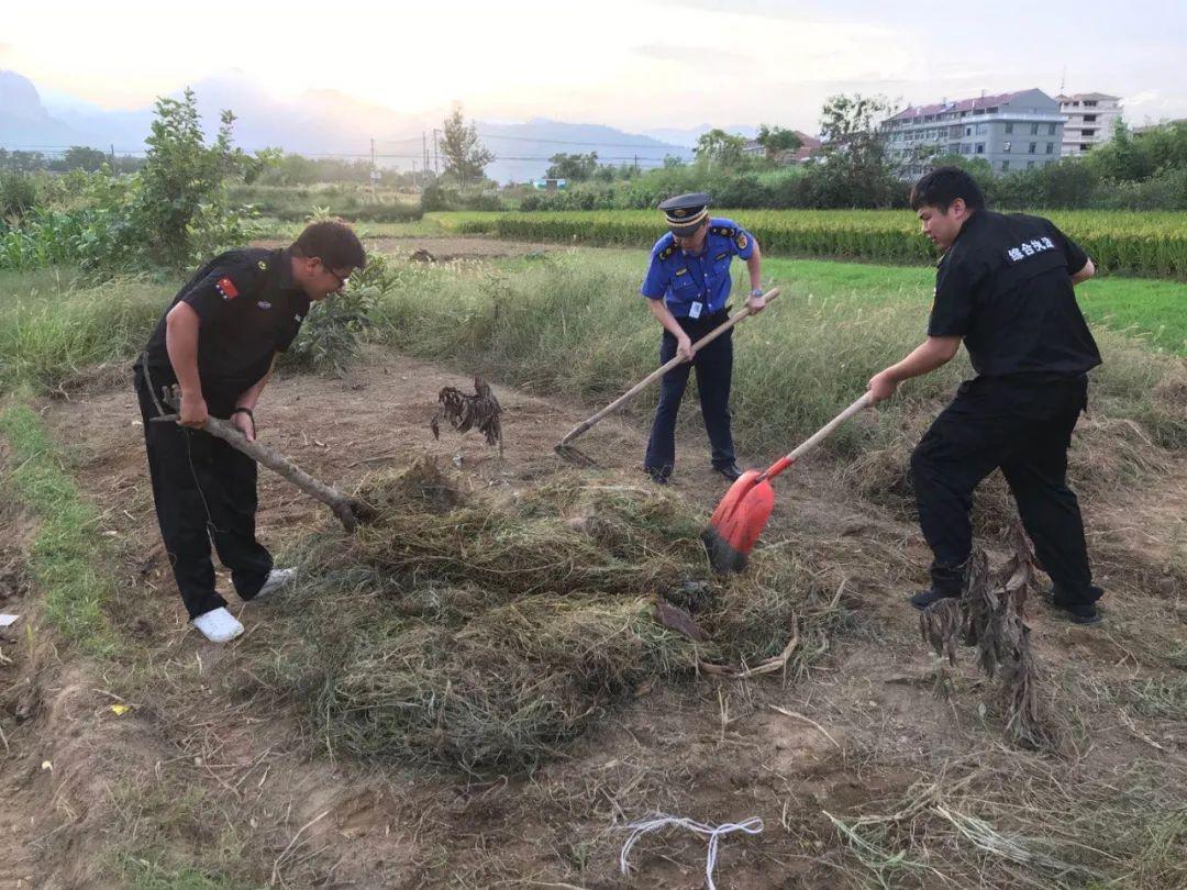 永嘉县市场监督管理局发布最新新闻动态