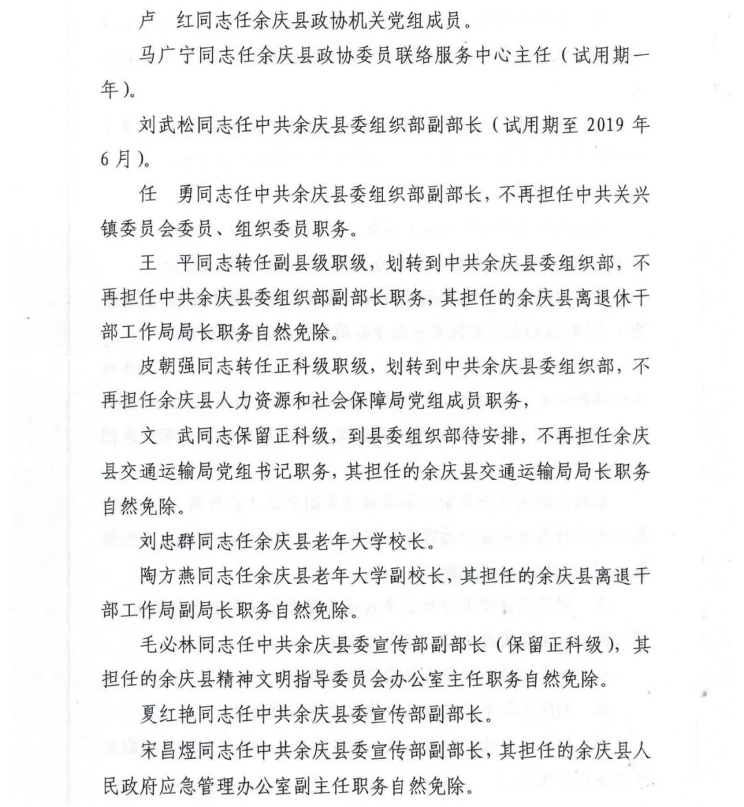 纳金乡人事任命揭晓，塑造未来，激发新活力