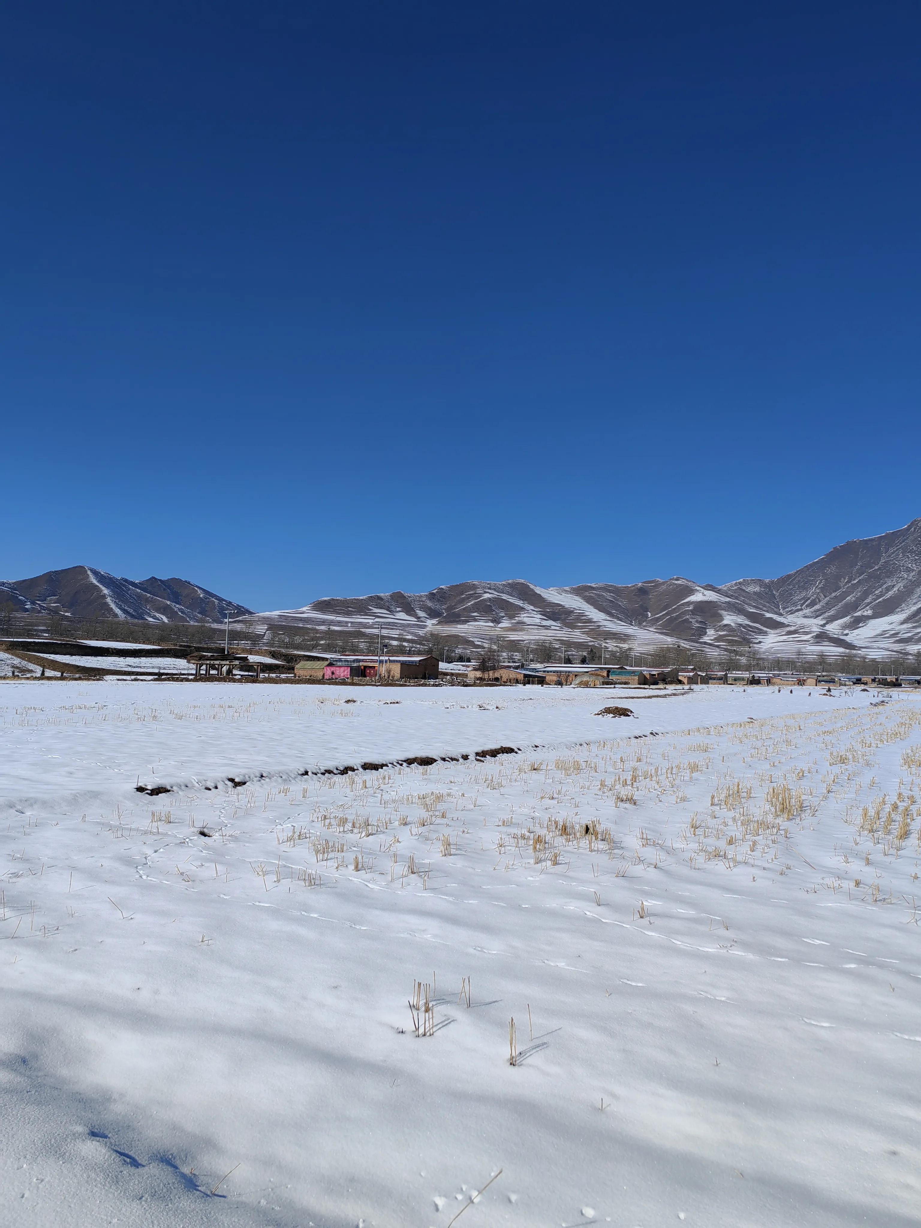 互助土族自治县住房和城乡建设局最新新闻深度解读