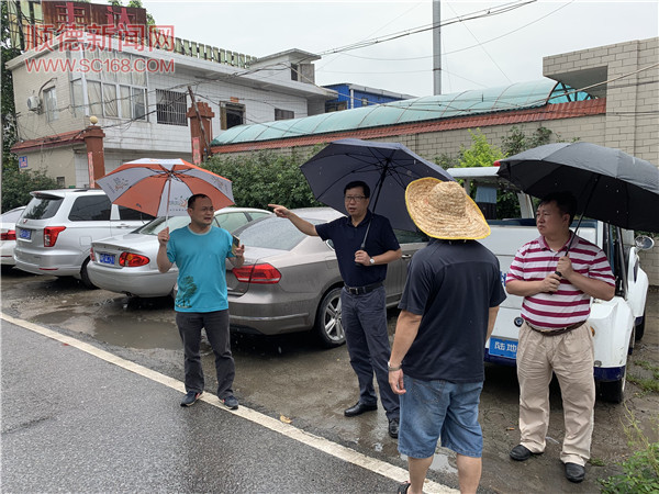 洋兄村，最新发展动态与社区新面貌报道