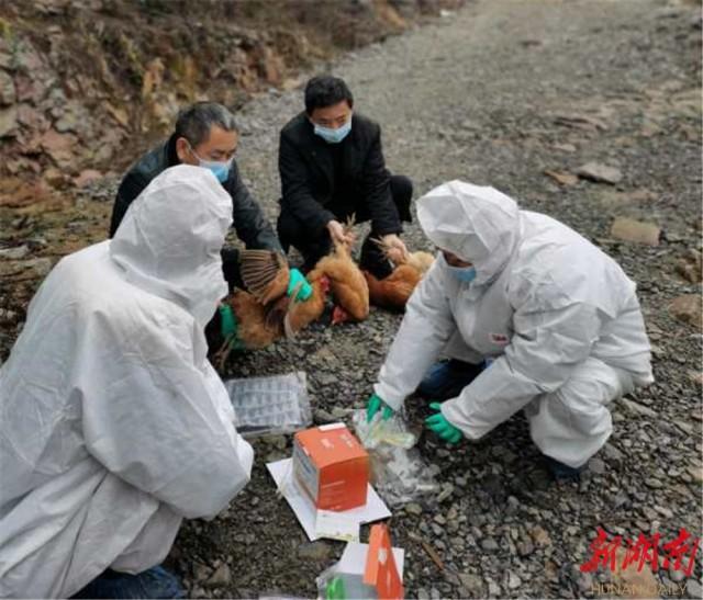 花垣县防疫检疫站人事任命重塑未来防疫新格局