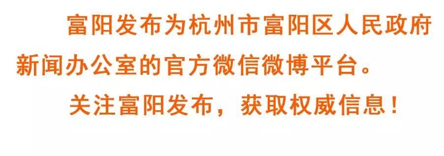 富阳市人民政府办公室领导团队及职能概览