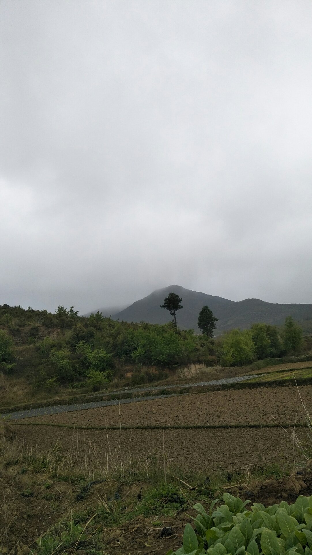 多巴村天气预报更新通知