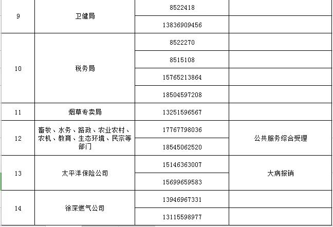 林甸县数据和政务服务局最新动态速递