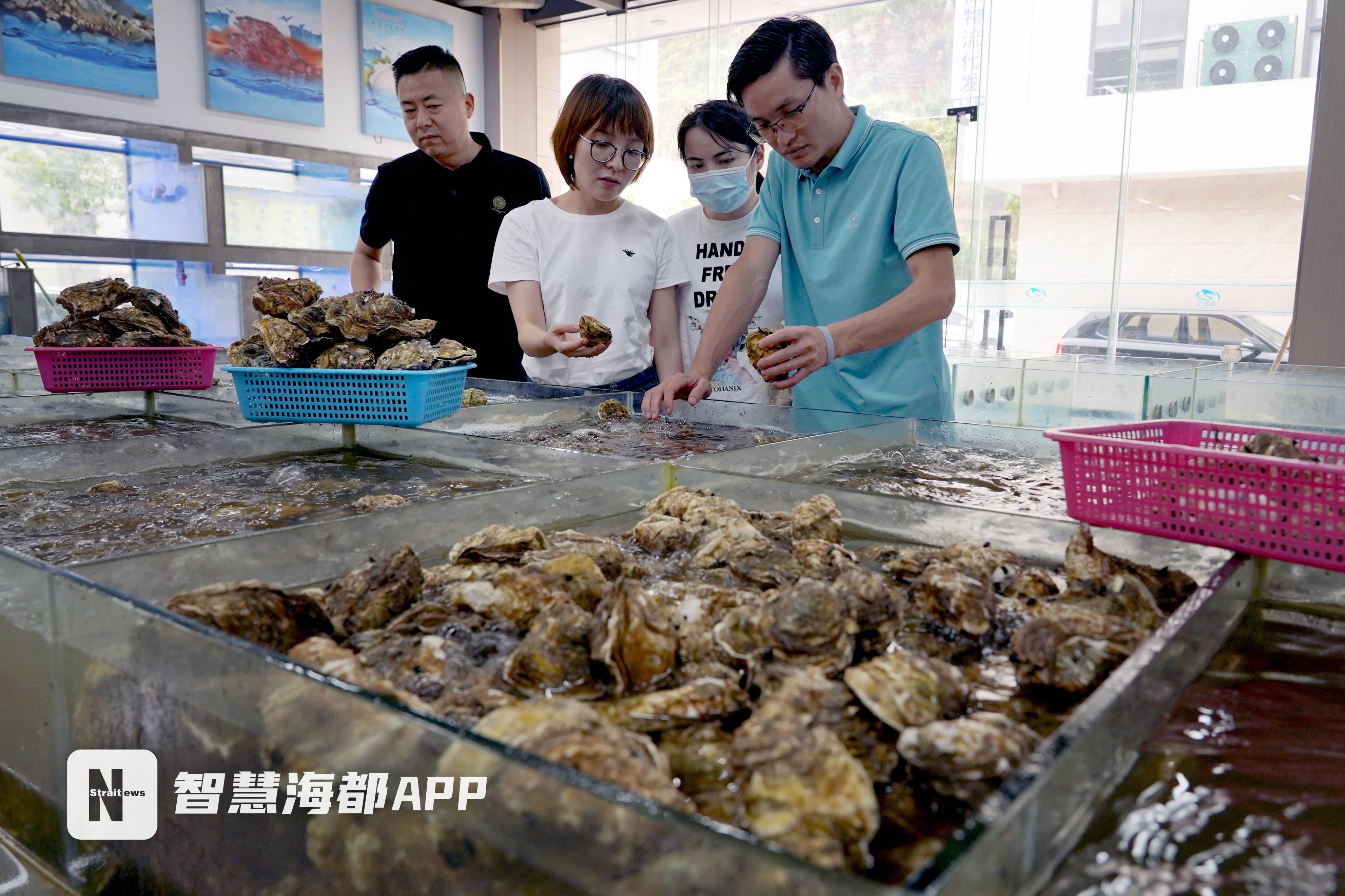 连江县公路运输管理事业单位招聘启事概览