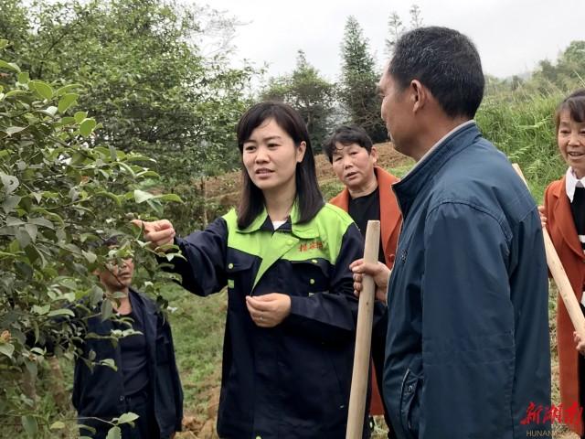 冷水溪乡新发展规划，塑造乡村新貌，推动可持续发展进程