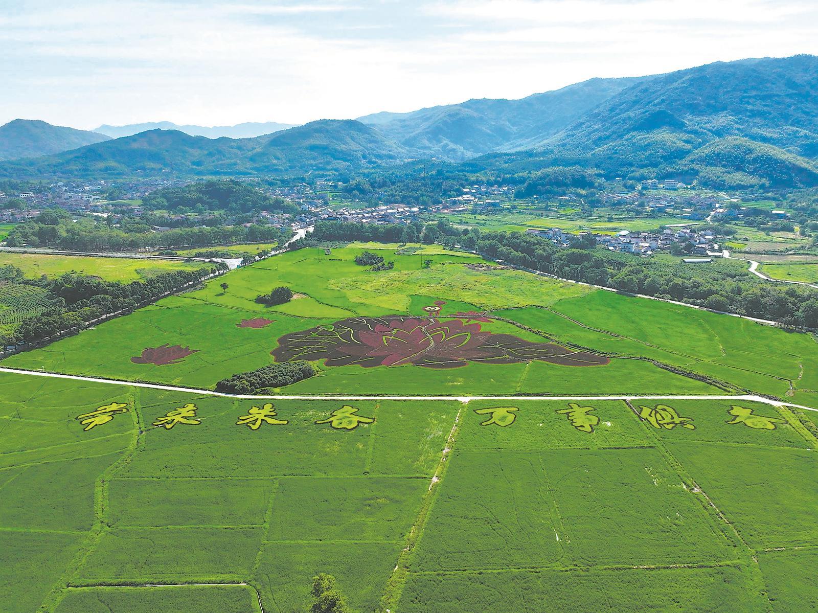 九道岭镇天气预报更新通知