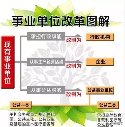 大黑山特别行政管理区人事任命动态深度解析