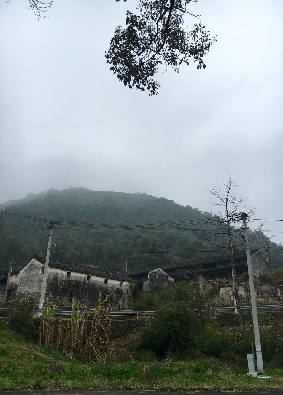 林奴村今日天气预报