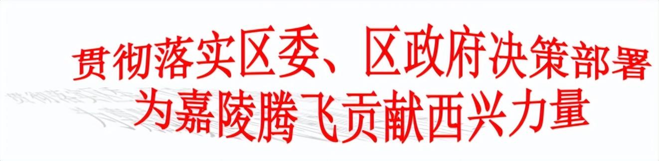 真武宫社区重塑城市生活新篇章的最新项目启动